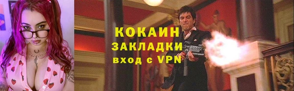 шишки Белоозёрский