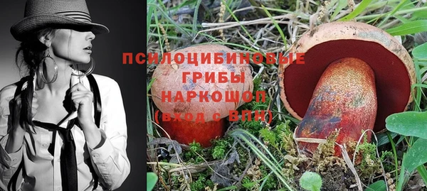 шишки Белоозёрский