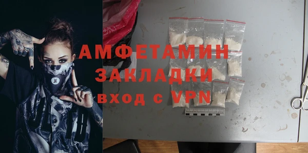 шишки Белоозёрский