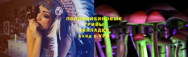 крисы Россошь