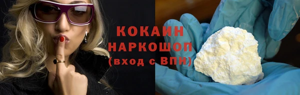 шишки Белоозёрский