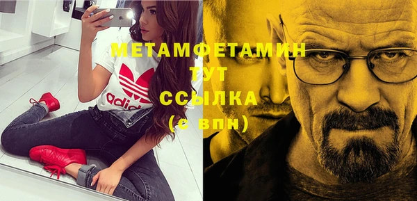 шишки Белоозёрский