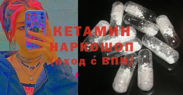 шишки Белоозёрский