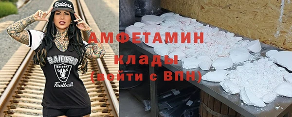 шишки Белоозёрский