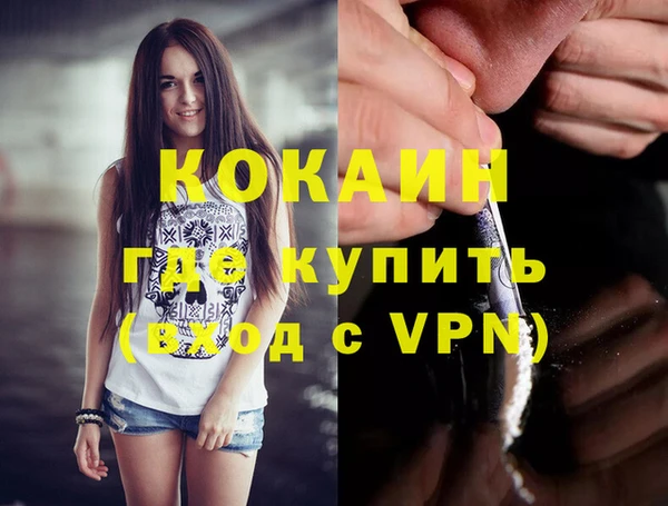 шишки Белоозёрский