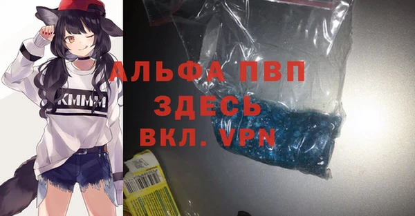 шишки Белоозёрский