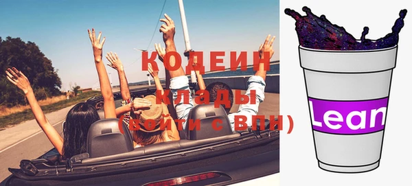 шишки Белоозёрский